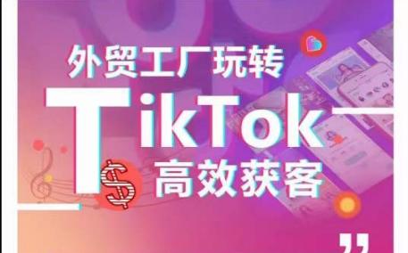 外贸工厂玩转TikTok高效获客,多种引流方式与账号定位技巧,拆解爆款短视频打造成功案例-老吴出海笔记
