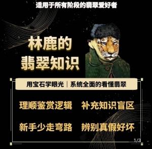 林鹿的翡翠知识,用宝石眼光,系统全面的看懂翡翠-老吴出海笔记