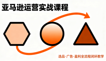 毕方电商·亚马逊全站会员课程(更新3月)-老吴出海笔记