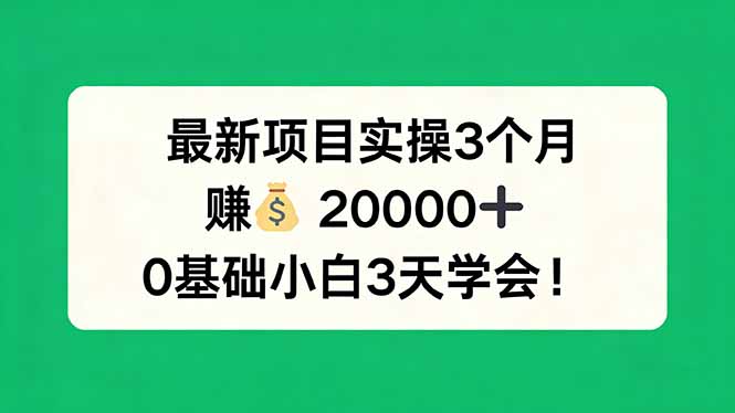 最新项目实操3个月,赚钱20000+,0基础小白3天学会!-老吴出海笔记