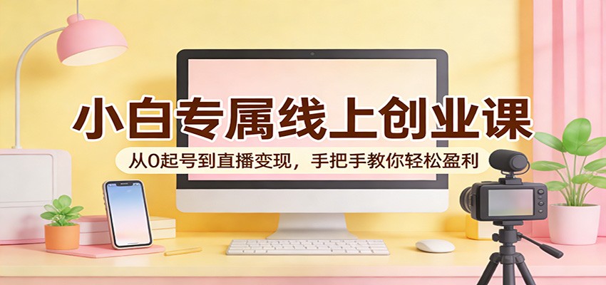 小白专属线上创业课:从0起号到直播变现,手把手教你轻松盈利-老吴出海笔记