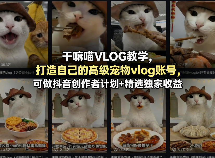 干嘛喵VLOG教学,打造自己的高级宠物vlog账号,可做抖音创作者计划+精选独家收益-老吴出海笔记