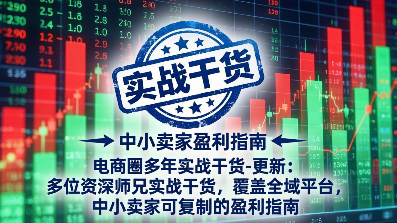 电商圈多年实战干货-更新4月:多位资深师兄实战干货,覆盖全域平台,中小卖家可复制的盈利指南-老吴出海笔记
