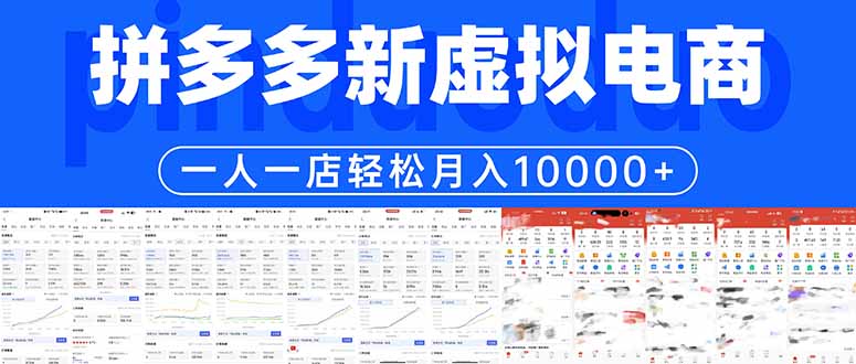 拼多多虚拟电商一人一店轻松月入10000+-老吴出海笔记