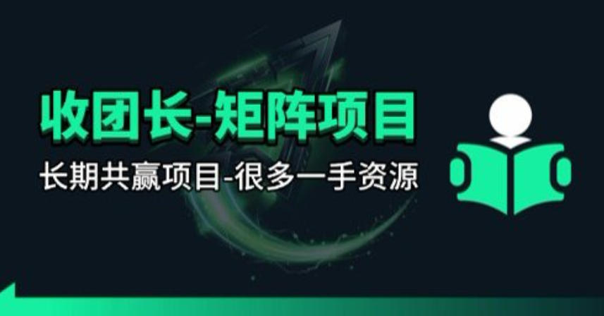 【团长合作】视频矩阵项目_招发手矩阵+剪辑师,共赢项目【揭秘】-老吴出海笔记
