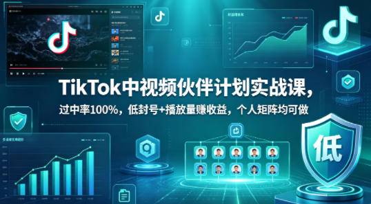 TikTok中视频伙伴计划实战课,过中率100%,低封号+播放量賺收益,个人矩阵均可做-老吴出海笔记