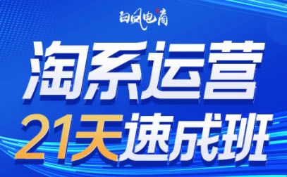 白凤电商·淘系运营21天速成班(更新4月)-老吴出海笔记