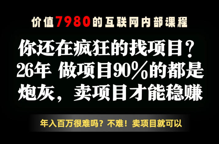 26年请不要疯狂的找项目了,卖项目远比你想象的暴利,你也可以月入10W+【揭秘】-老吴出海笔记