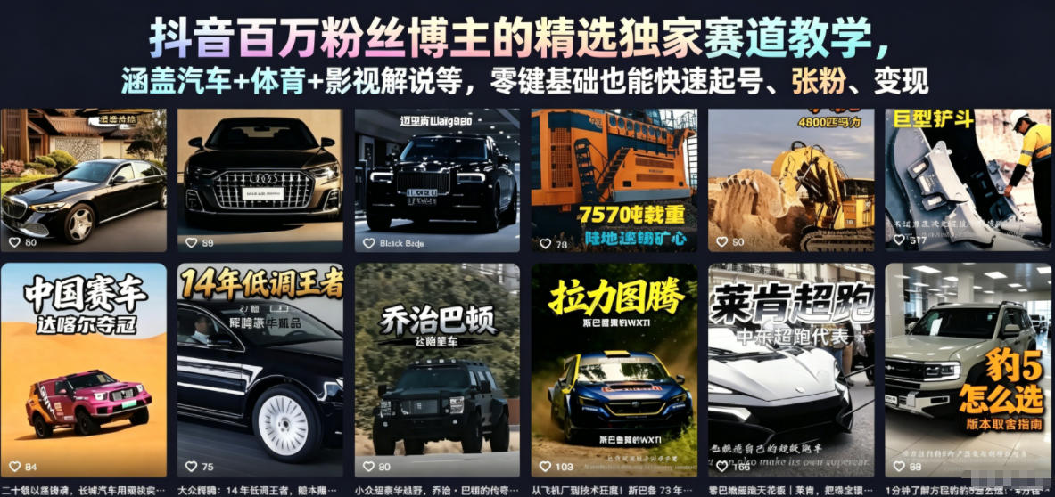 抖音百万粉丝博主的精选独家赛道教学，涵盖汽车+体育+影视解说等，零基础也能快速起号、涨粉、变现-老吴出海笔记
