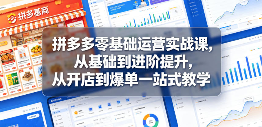 拼多多零基础运营实战课,从基础到进阶提升,从开店到爆单一站式教学-老吴出海笔记