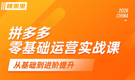 仙道电商·拼多多零基础运营实战课-老吴出海笔记