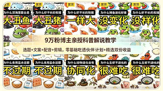 9w粉博主亲授科普解说教学:选题+文案+配音+剪辑,零基础吃透伙伴计划+精选双份收益-老吴出海笔记