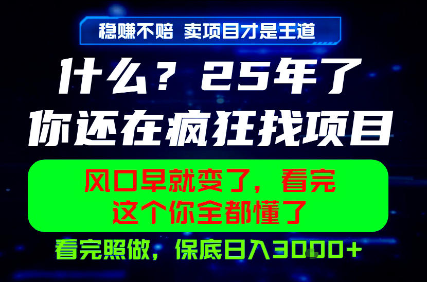 26年,请不要疯狂的找项目做了!卖项目才是真的稳賺不赔,看完照做,保底日入1k+【揭秘】-老吴出海笔记
