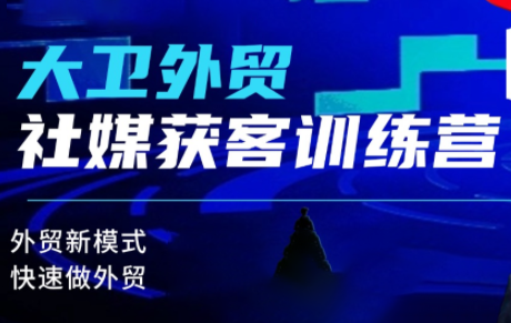 大卫老师·外贸社媒获客独家训练营(更新6月)-老吴出海笔记