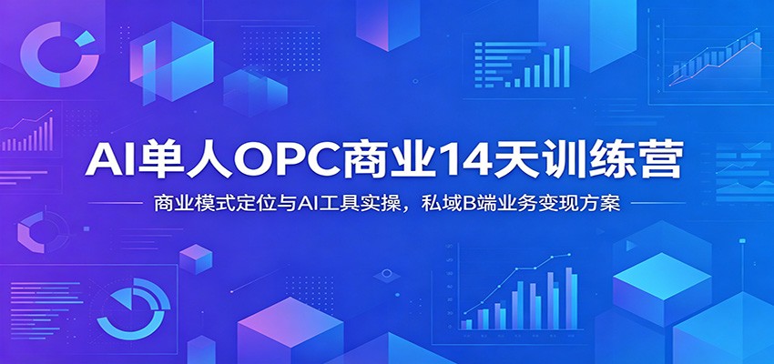 AI单人OPC商业14天训练营:商业模式定位与AI工具实操,私域B端业务变现方案-老吴出海笔记