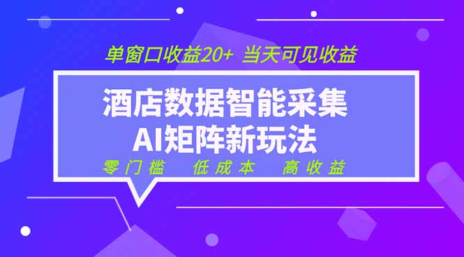 2026酒店数据采集ai智能矩阵新风口 低成本 高收益 当天见收益 单窗口20+-老吴出海笔记