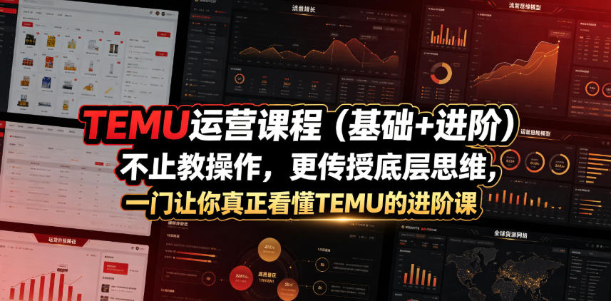 TEMU运营课程(基础+进阶)，不止教操作，更传授底层思维，一门让你真正看懂TEMU的进阶课-老吴出海笔记