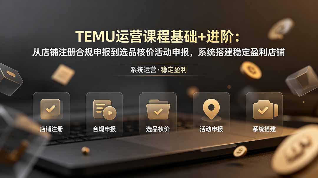 TEMU运营课程(基础+进阶-老吴出海笔记
