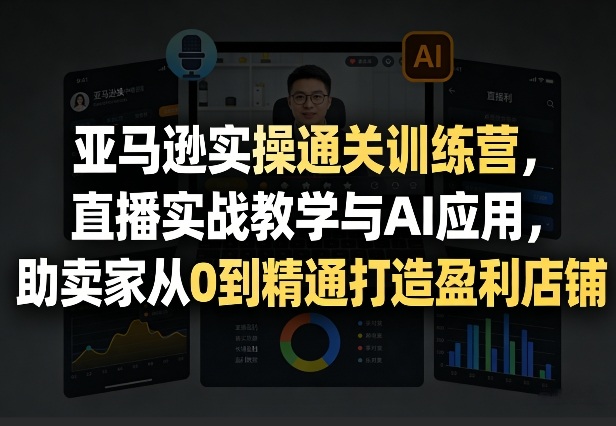 亚马逊实操通关训练营,直播实战教学与AI应用,助卖家从0到精通打造盈利店铺(更新7月3日)-老吴出海笔记
