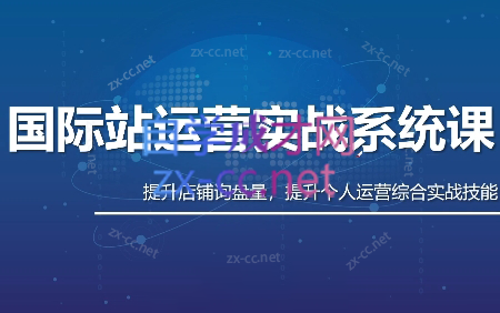 白老师·国际站运营实战系统(高质量询盘增长课)(更新)-老吴出海笔记