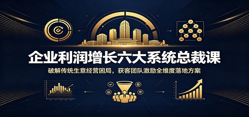 企业利润增长六大系统总裁课:破解传统生意经营困局,获客团队激励全维度落地方案-老吴出海笔记