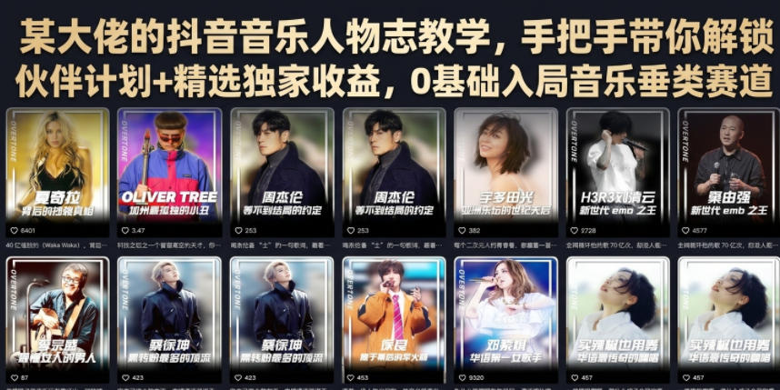 某大佬的抖音音乐人物志教学,手把手带你解锁伙伴计划+精选独家收益,0基础入局音乐垂类赛道-老吴出海笔记