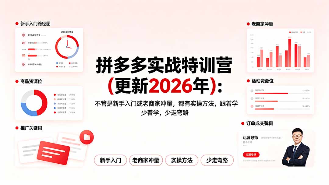 拼多多实战特训营(更新2026年-老吴出海笔记
