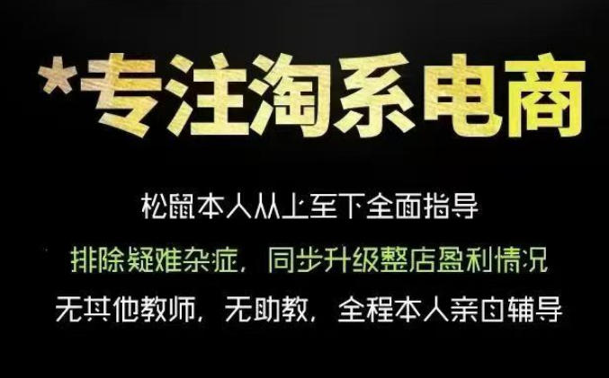 松鼠会电商VIP课程,从基础布局到高阶优化,助你掌握淘宝运营逻辑,提升店铺流量与转化(更新0711)-老吴出海笔记
