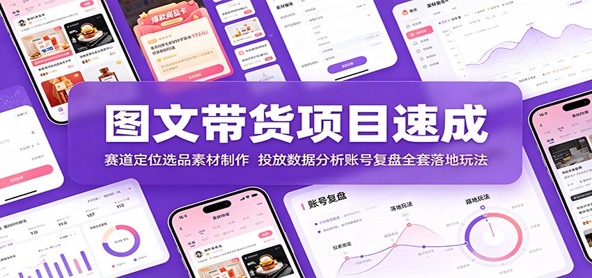 图文带货项目速成:赛道定位选品素材制作,投放数据分析账号复盘全套落地玩法-老吴出海笔记