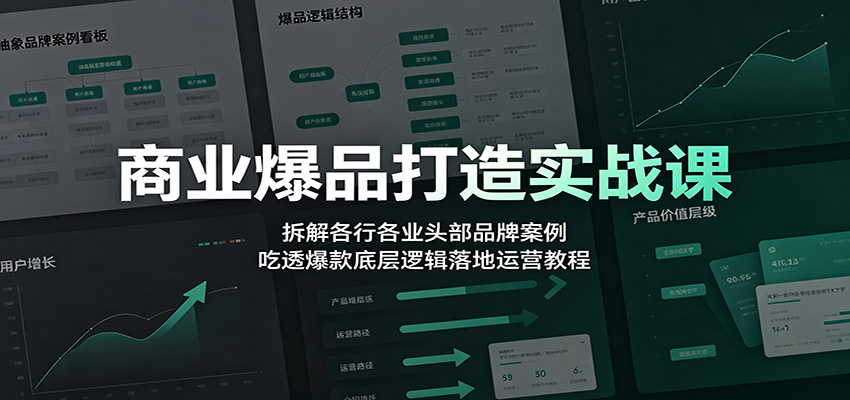 商业爆品打造实战课:拆解各行各业头部品牌案例,吃透爆款底层逻辑落地运营教程-老吴出海笔记
