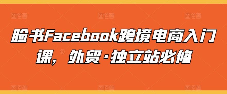 脸书Facebook跨境电商入门课,外贸·独立站必修-老吴出海笔记