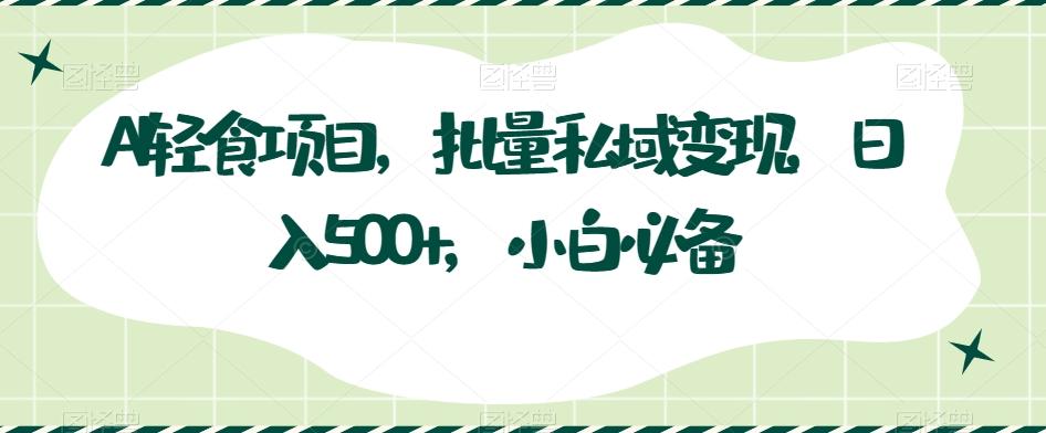 AI轻食项目,批量私域变现,日入500+,小白必备-老吴出海笔记