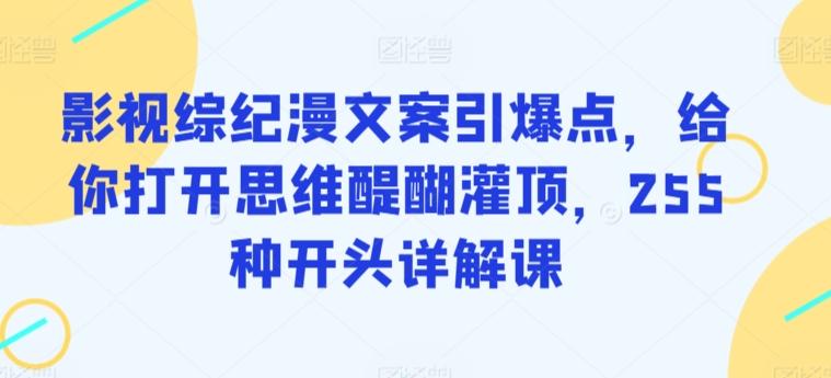 影视综纪漫文案引爆点，给你打开思维醍醐灌顶，255种开头详解课-老吴出海笔记