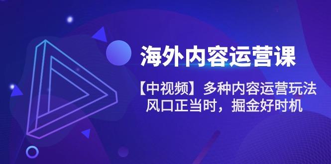 海外内容 运营课【中视频】多种内容运营玩法 风口正当时 掘金好时机-101节-老吴出海笔记