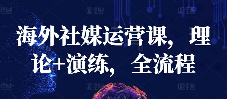 海外社媒运营课,理论+演练,全流程-老吴出海笔记