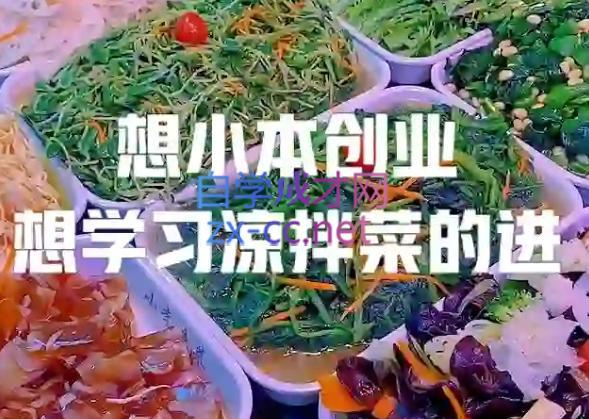李记·精品凉拌菜系列热卤系列教程-老吴出海笔记