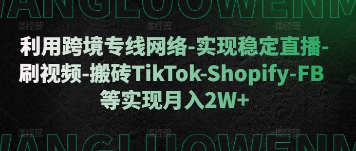 利用跨境专线网络-实现稳定直播-刷视频-搬砖TikTok-Shopify-FB等实现月入2W+【揭秘】-老吴出海笔记
