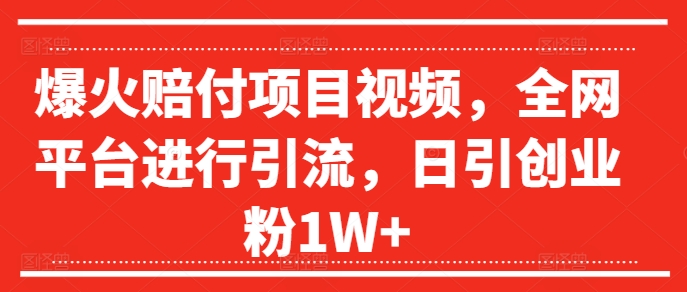 爆火赔付项目视频，全网平台进行引流，日引创业粉1W+【揭秘】-老吴出海笔记