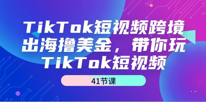 TikTok短视频跨境出海撸美金，带你玩TikTok短视频(41节课)-老吴出海笔记