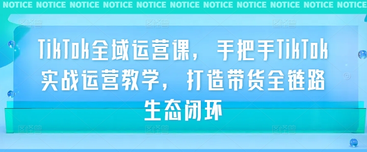 TikTok全域运营课,手把手TikTok实战运营教学,打造带货全链路生态闭环-老吴出海笔记