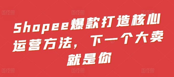Shopee爆款打造核心运营方法,下一个大卖就是你-老吴出海笔记