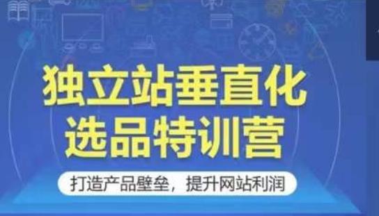 独立站垂直化选品特训营,打造产品壁垒,提升网站利润-老吴出海笔记