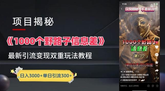 一千个野路子信息差最新玩法教程-变现+引流的玩法具体拆解【揭秘】-老吴出海笔记