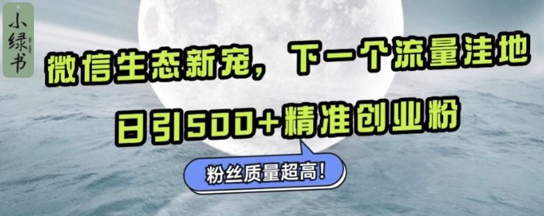 微信生态新宠小绿书:下一个流量洼地,日引500+精准创业粉,粉丝质量超高-老吴出海笔记