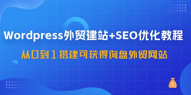 WordPress外贸建站+SEO优化教程，从0到1搭建可获得询盘外贸网站(57节课)-老吴出海笔记