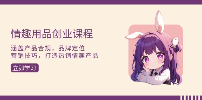 情趣用品创业课程:涵盖产品合规,品牌定位,营销技巧,打造热销情趣产品-老吴出海笔记