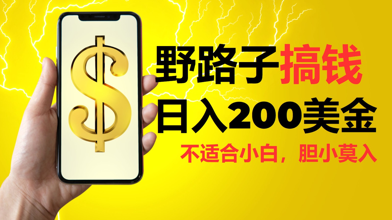 挂机野路子搞钱,日入200美金,路子很野,小白莫入-老吴出海笔记