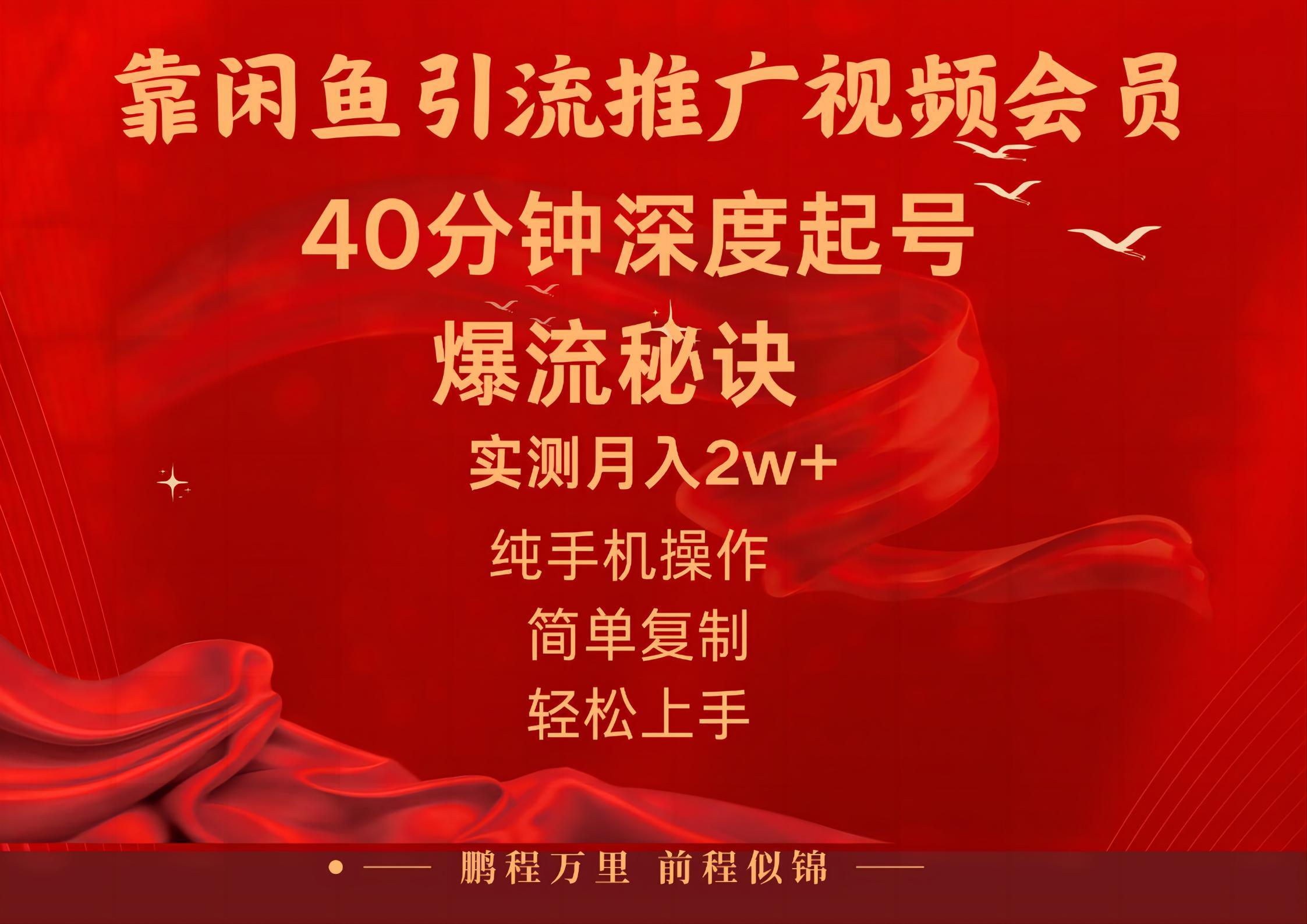 闲鱼暴力引流推广视频会员，能做到日入2W+，操作简单-老吴出海笔记