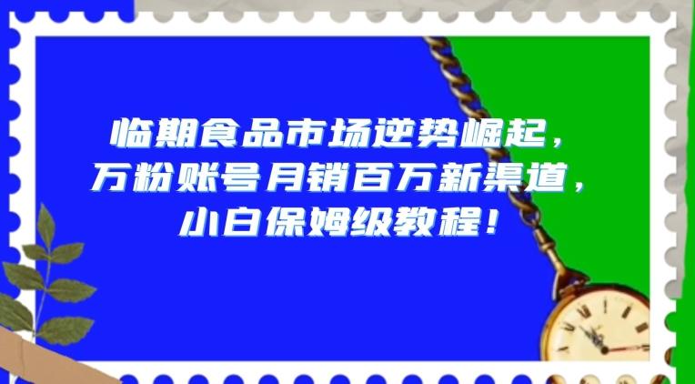 临期食品市场逆势崛起，万粉账号月销百万新渠道，小白保姆级教程【揭秘】-老吴出海笔记