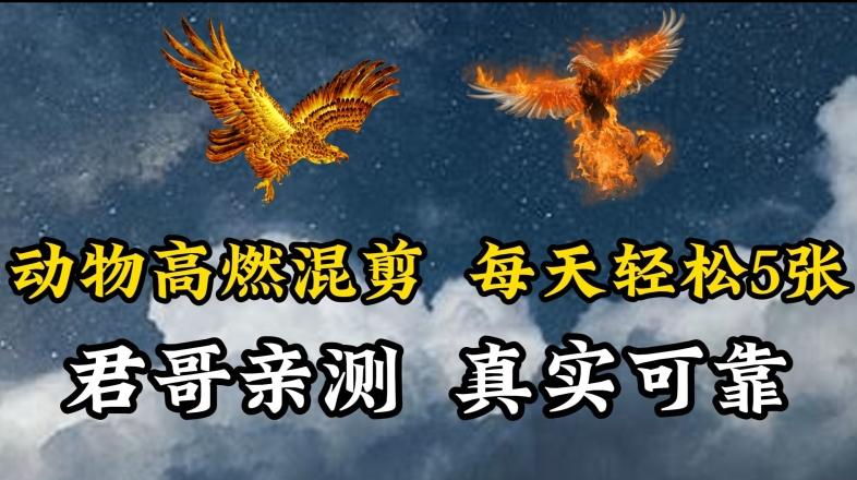 动物超燃混剪,每天轻松5张,剪辑简单大家爱看【揭秘】-老吴出海笔记
